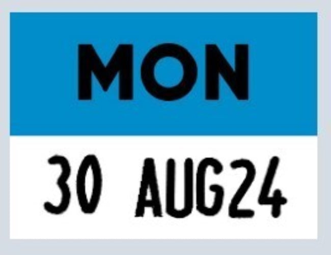 22x16 Monday (Blue) Day Label with Date